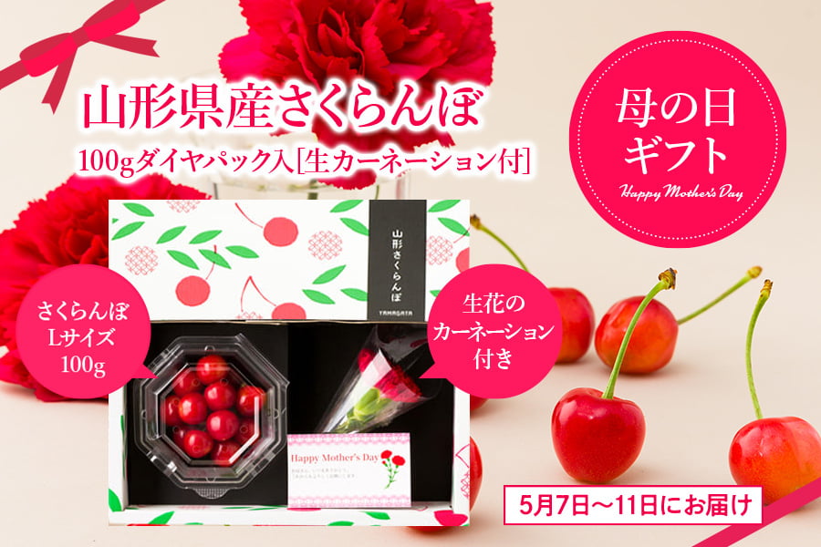 【母の日ギフト】さくらんぼ佐藤錦100gダイヤパック入[生カーネーション付]