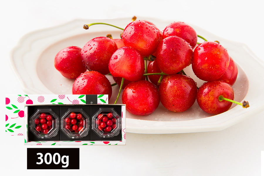 《早出し》さくらんぼ佐藤錦300gダイヤパック入(100g×3)