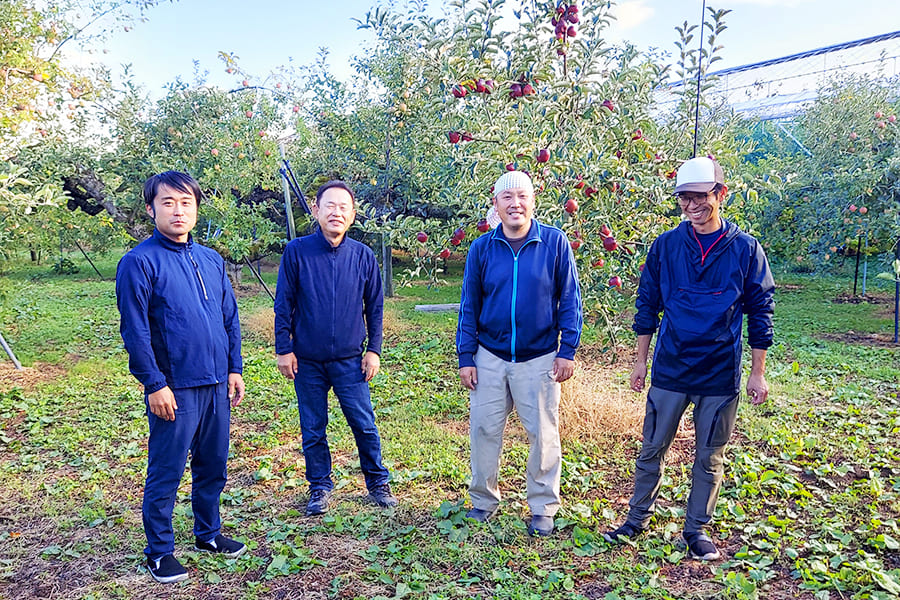 プレミアムさくらんぼ紅秀峰