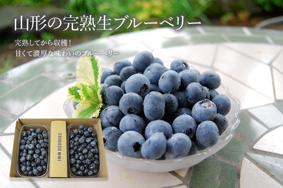 山形の完熟生ブルーベリー約700g(350g×2パック)