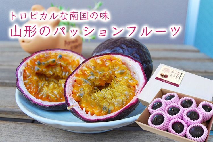 山形のパッションフルーツ 8 10玉 箱入