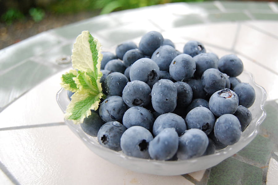 100BERRIES／ブルーベリージェラート