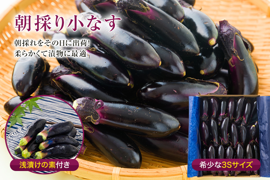 朝採り小なす約1kg