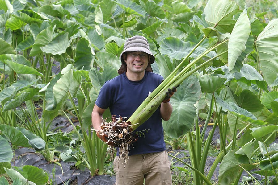 山形特産洗い里芋