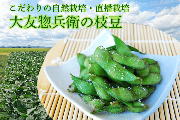 大友惣兵衛の枝豆 茶豆または秘伝豆 1kg 500g 2袋 大友惣兵衛の枝豆 茶豆または秘伝豆 1kg 500g 2袋