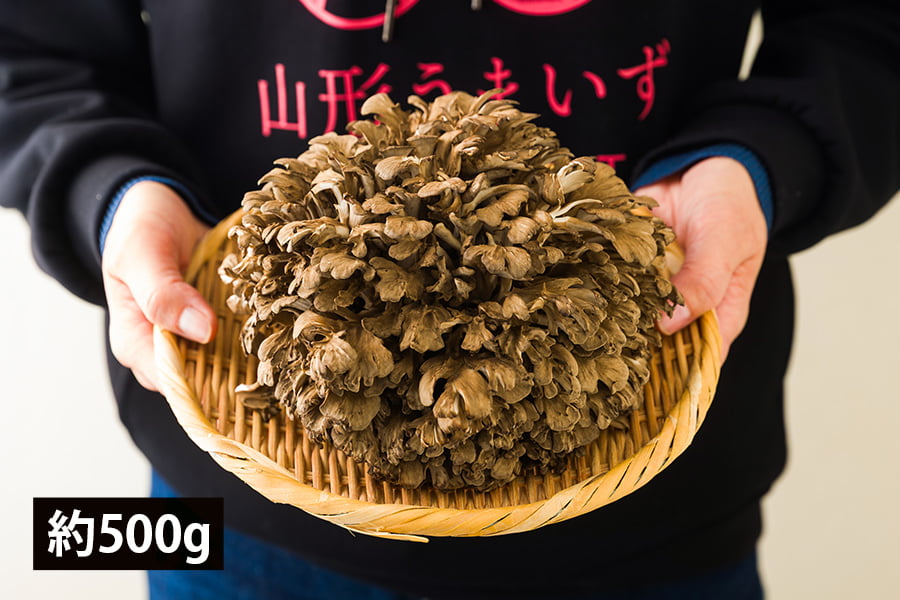 最上まいたけ／コクうま舞茸