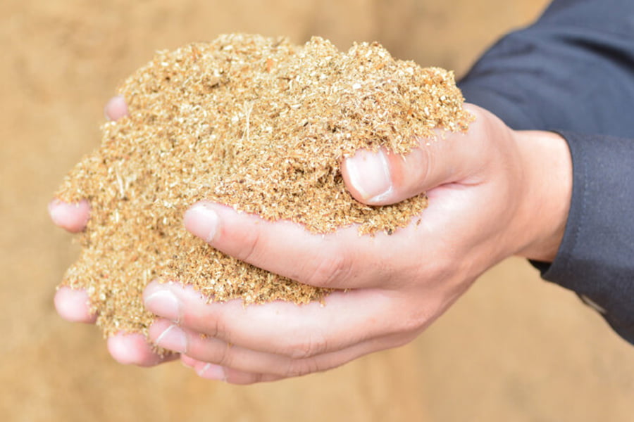 最上まいたけ/コクうま舞茸