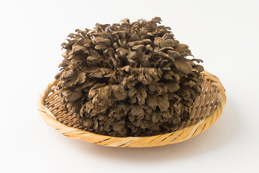 最上まいたけ/コクうま舞茸