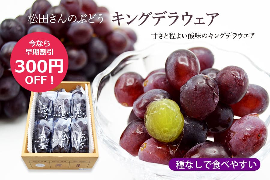 松田さんのぶどうキングデラウェア"