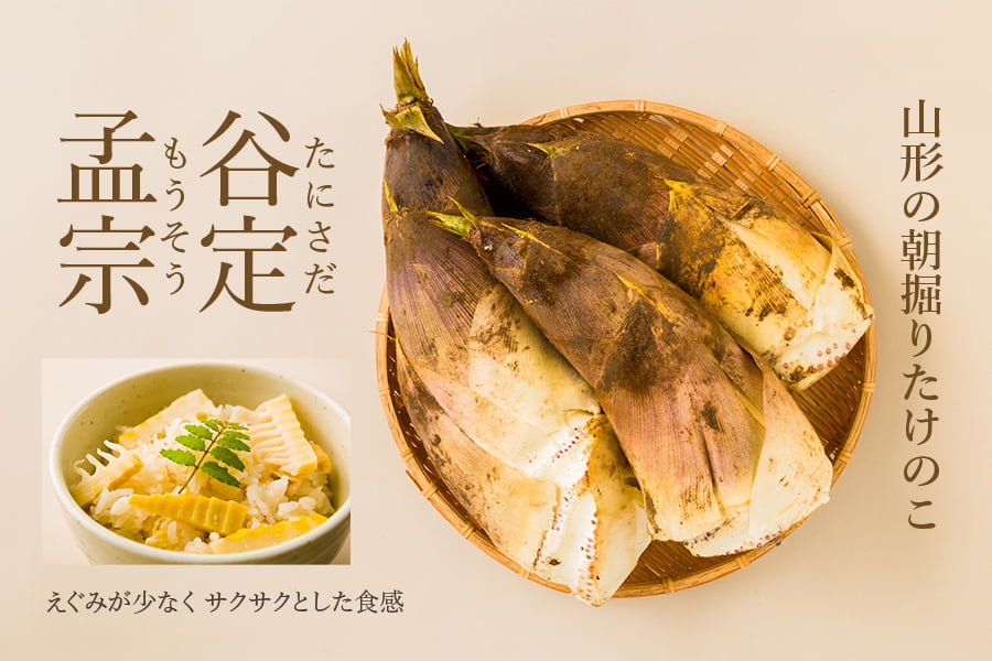 谷定孟宗
