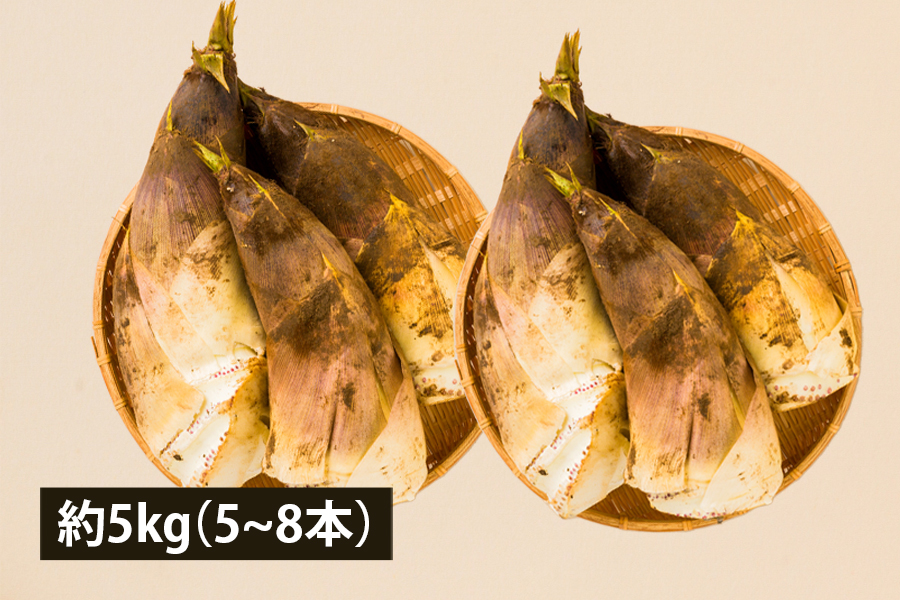 山形の朝堀りたけのこ(谷定孟宗)約5kg