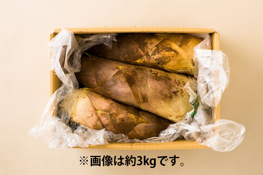 山形の朝堀りたけのこ(谷定孟宗)約3kg
