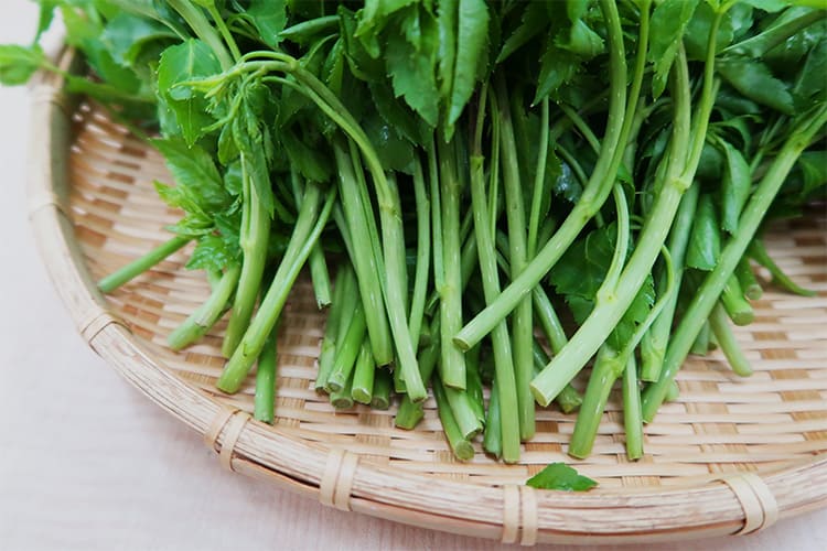 山形の伝統野菜うこぎ菜400g