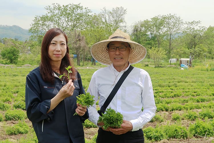 山形の伝統野菜うこぎ菜400g