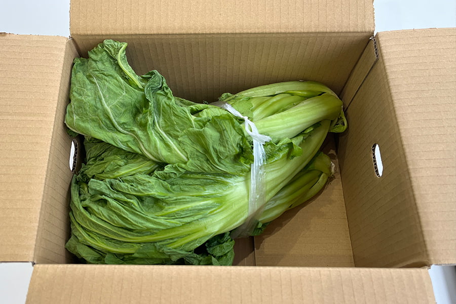 【数量限定】山形の青菜(せいさい)