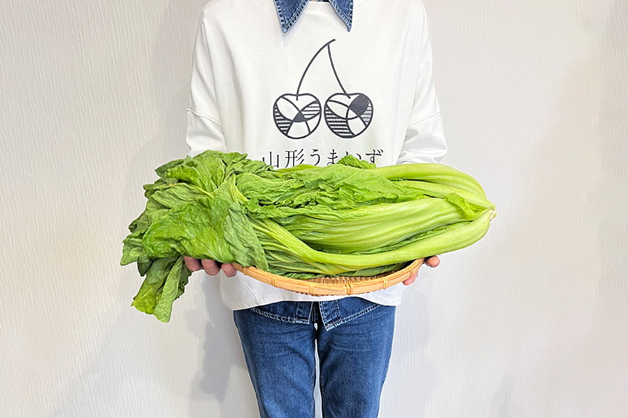 【数量限定】山形の青菜(せいさい)