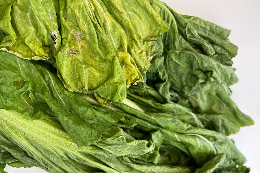 【数量限定】山形の青菜(せいさい)