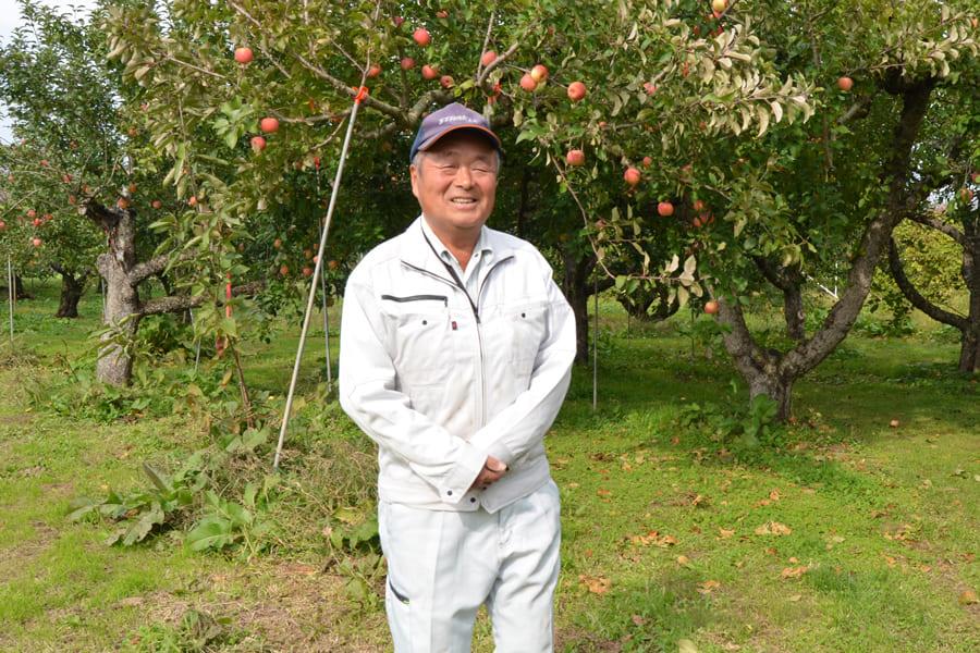 《ご家庭用》山形のふじりんご