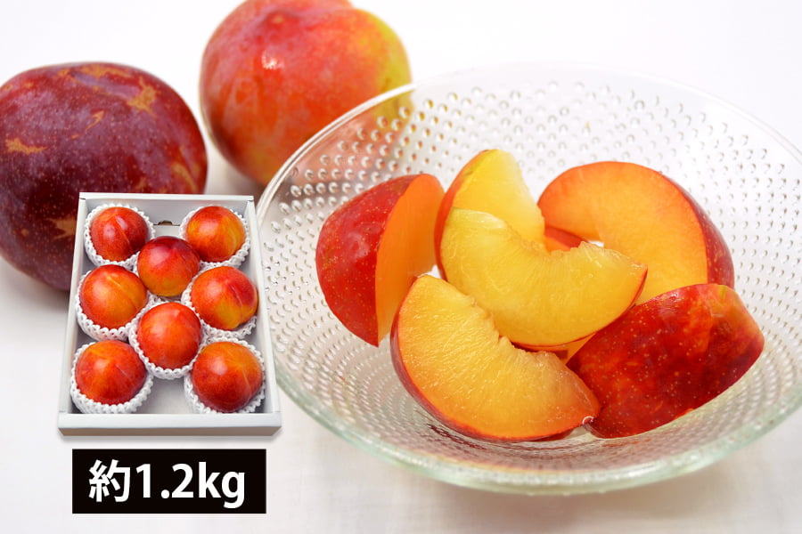 厳選すもも秋姫