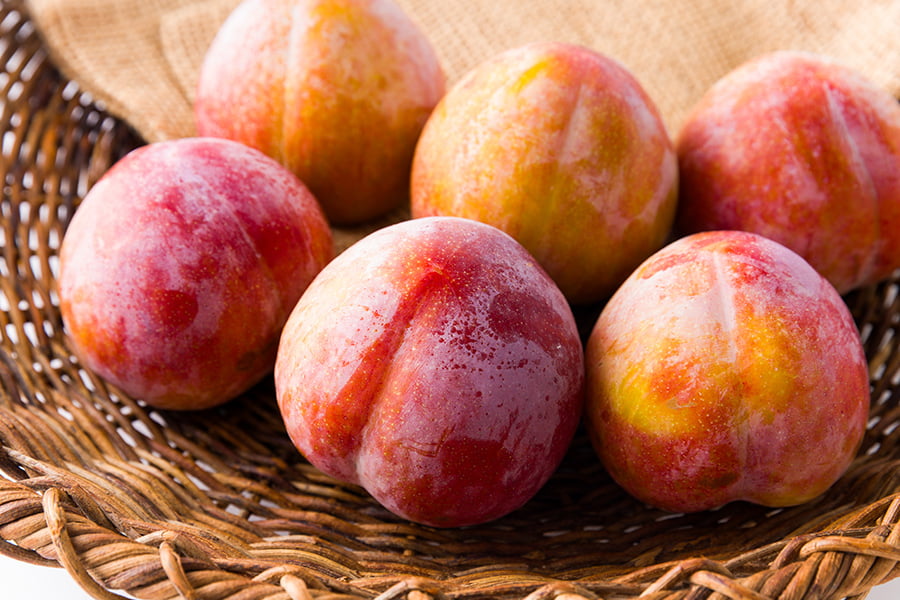 厳選すもも秋姫