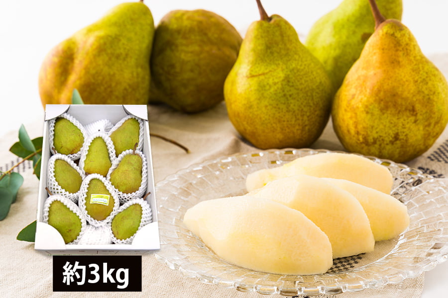 厳選洋梨シルバーベル約3kg(5〜8玉)