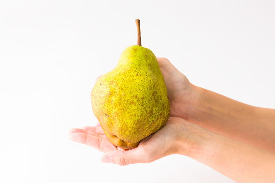 厳選洋梨シルバーベル約5kg(7〜12玉)