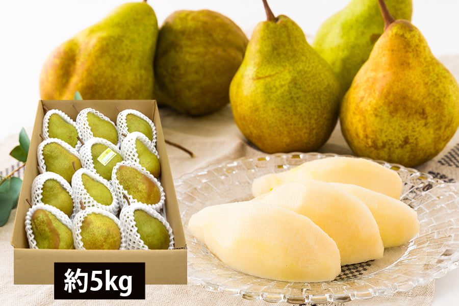 厳選洋梨シルバーベル約5kg(7〜12玉)
