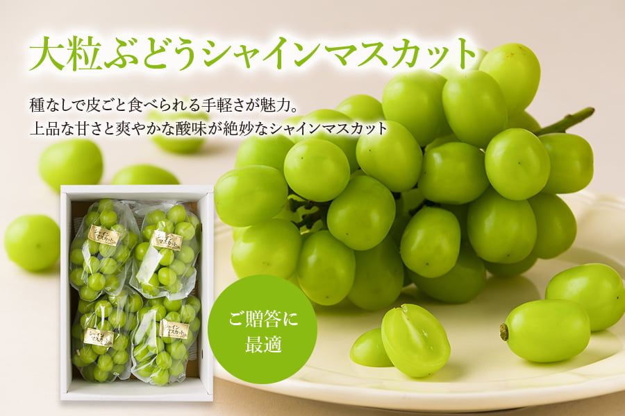 かんおぶどう農園／大粒ぶどうシャインマスカット約2kg(3〜5房程度)