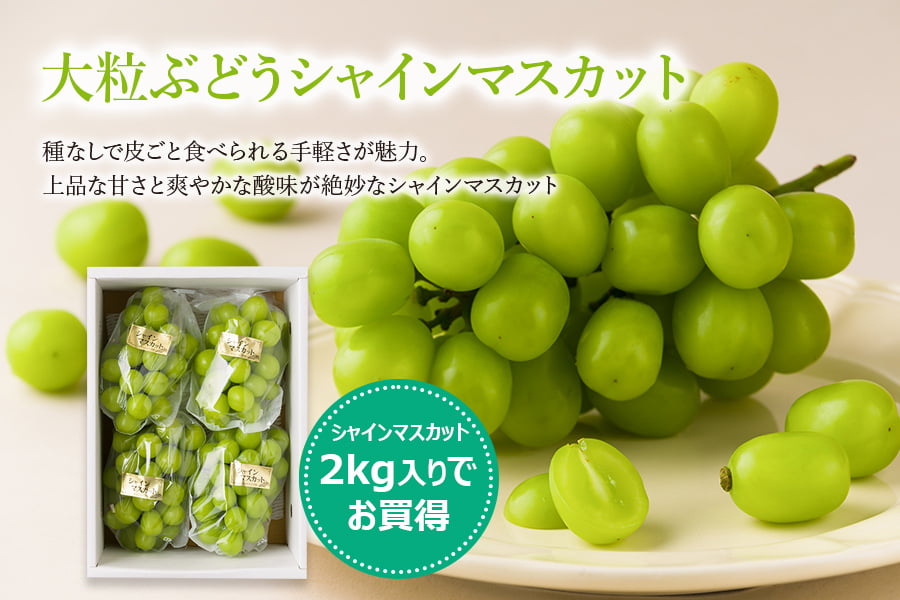 かんおぶどう農園／大粒ぶどうシャインマスカット約2kg(3〜5房程度)