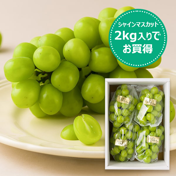 かんおぶどう農園／大粒ぶどうシャインマスカット約2kg(3〜5房程度)
