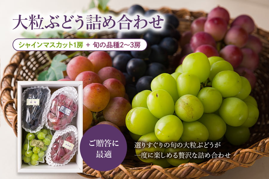 かんおぶどう農園／大粒ぶどう詰め合わせ約2kg(3～4品種)