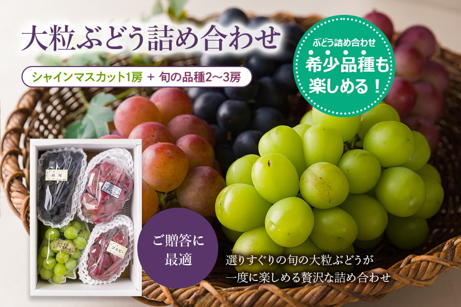 かんおぶどう農園／大粒ぶどう詰め合わせ約2kg(3〜4品種)