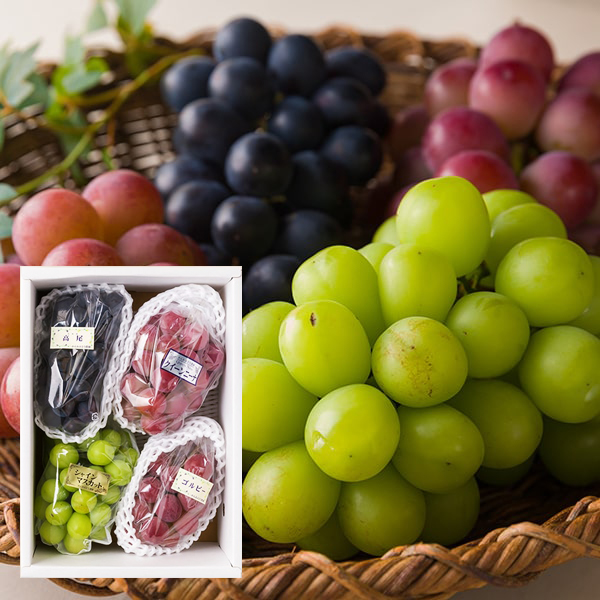 かんおぶどう農園／大粒ぶどう詰め合わせ約2kg(3〜4品種)