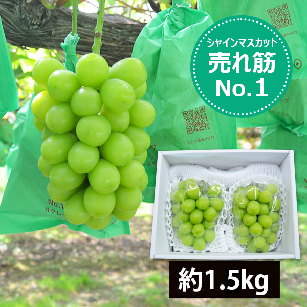 爽果シャインマスカット約1.5kg(2房)