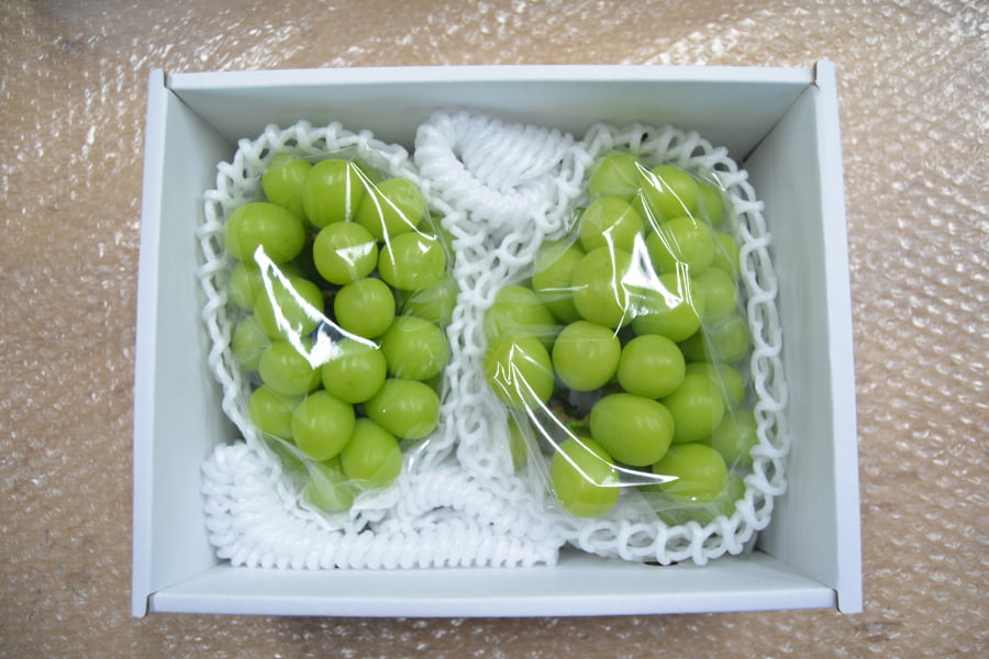 《ご家庭用》シャインマスカット約1.2kg(2房)
