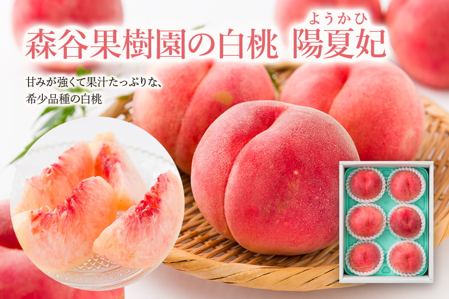 森谷果樹園の白桃 陽夏妃(ようかひ)