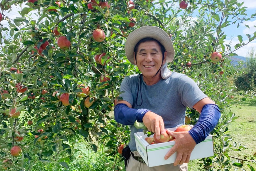 森谷果樹園／《訳あり》葉取らずりんご紅玉(こうぎょく)約2.5kg(玉数