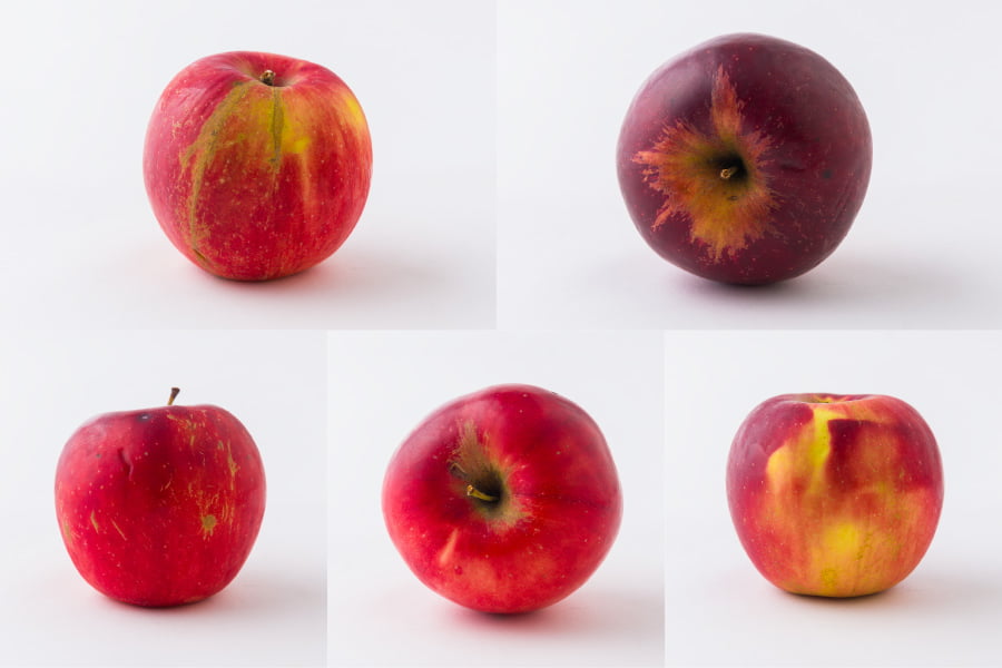 森谷果樹園／葉取らずりんご紅玉(こうぎょく)