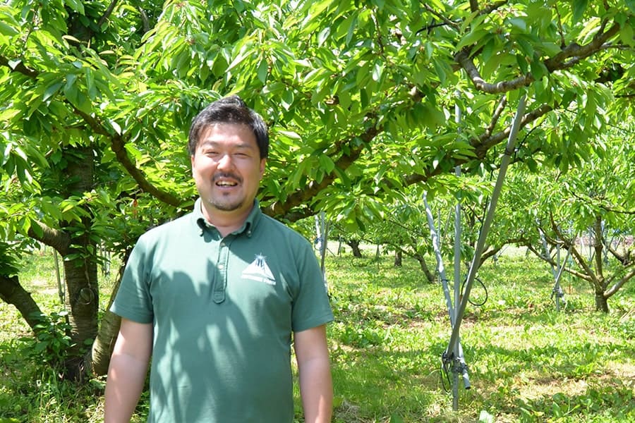 山形の特秀黄桃 品種おまかせ