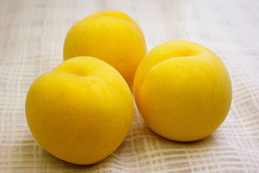 《訳あり》黄桃 品種おまかせ約3kg(7～13玉)