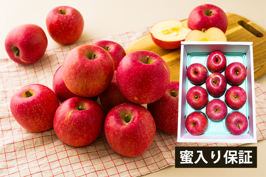 【蜜入り保証】味わいふじりんご約3kg(7〜12玉)