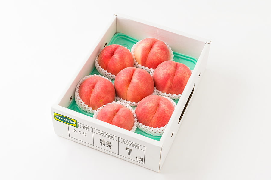芳醇白桃さくら