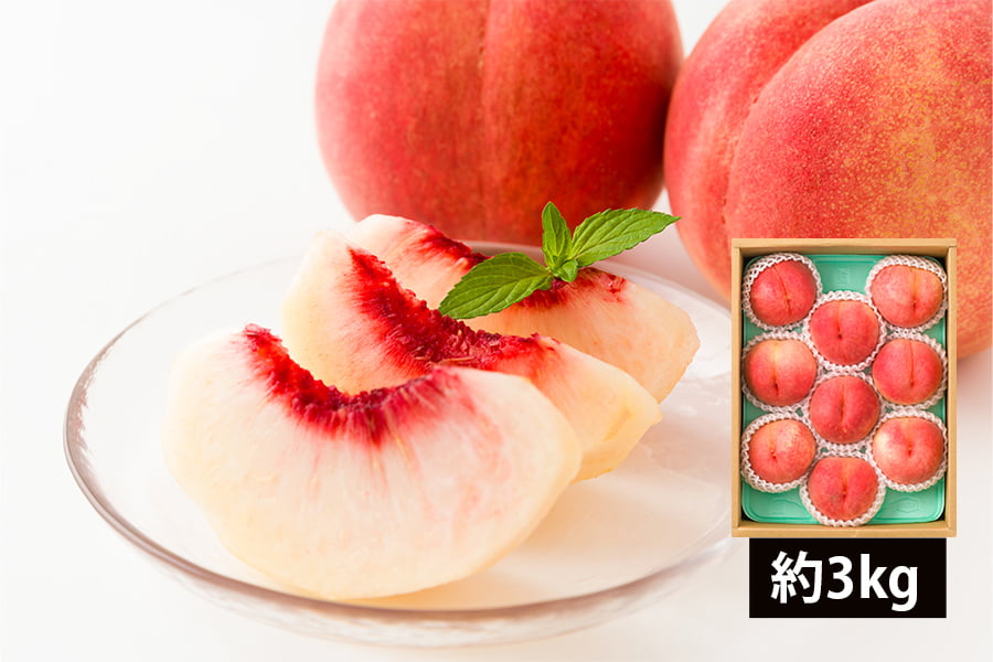 芳醇白桃 伊達白桃