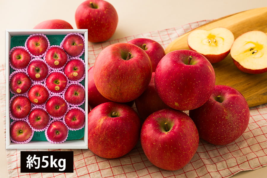 【数量限定】芳醇サンふじりんご