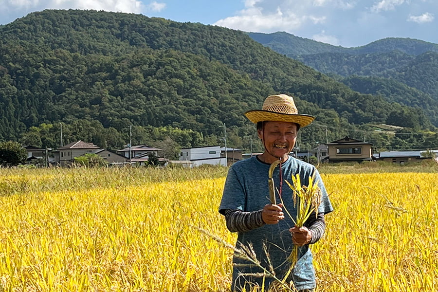 風間のお米夢ごこち