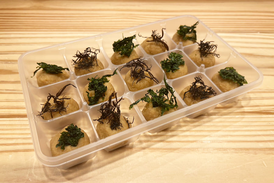 海と日本PROJECT／やまがた海洋塾2023×みさきの一軒家みそ玉15個