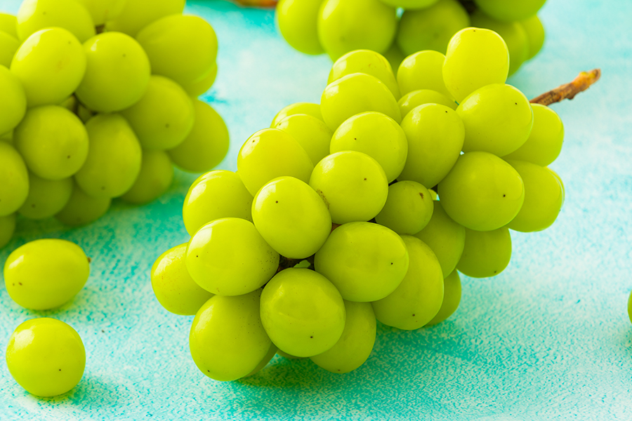 里見果樹園／《ご家庭用》大粒ぶどうシャインマスカット約2kg(3〜5房)