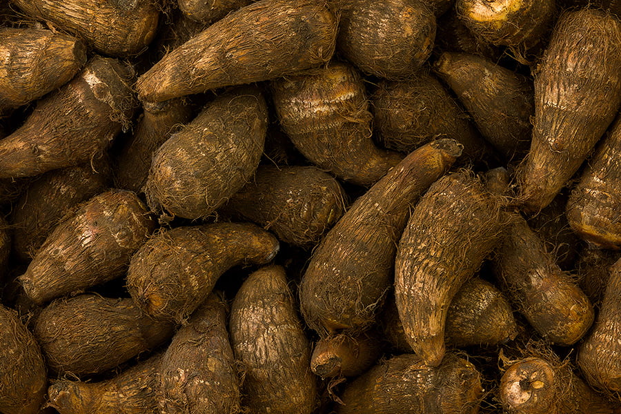 山形の里芋 土垂れ芋(どだれいも)約5kg