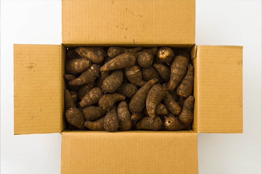 山形の里芋 土垂れ芋(どだれいも)約5kg