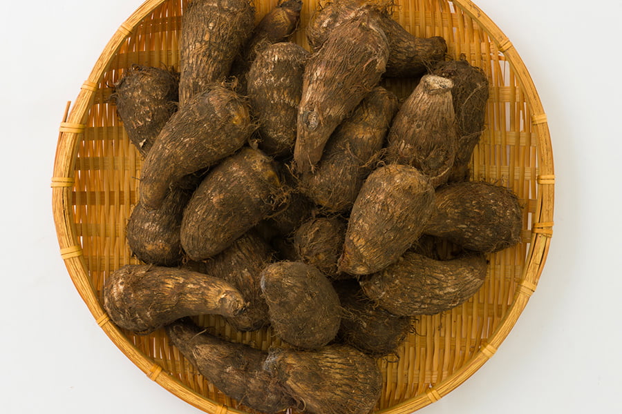 山形の里芋 土垂れ芋(どだれいも)約5kg